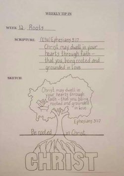 Tip In #12 Tree Sketch