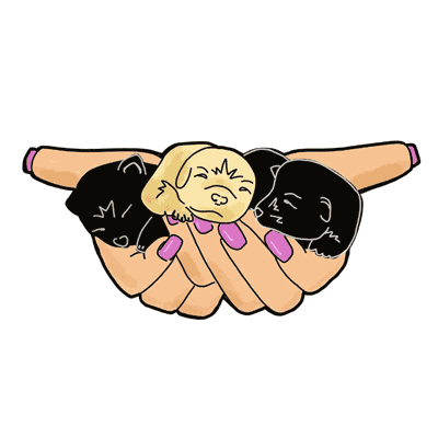 Hand Full of Puppies