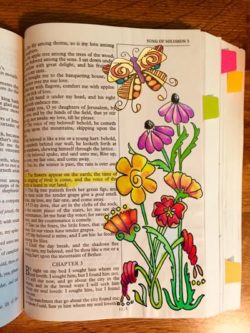 Cone Flower Bible Page