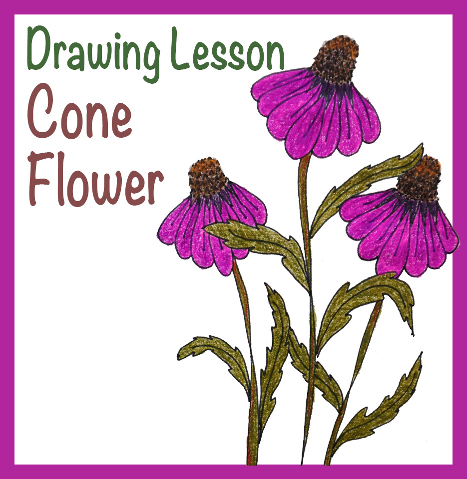 Cone Flower SQUARE