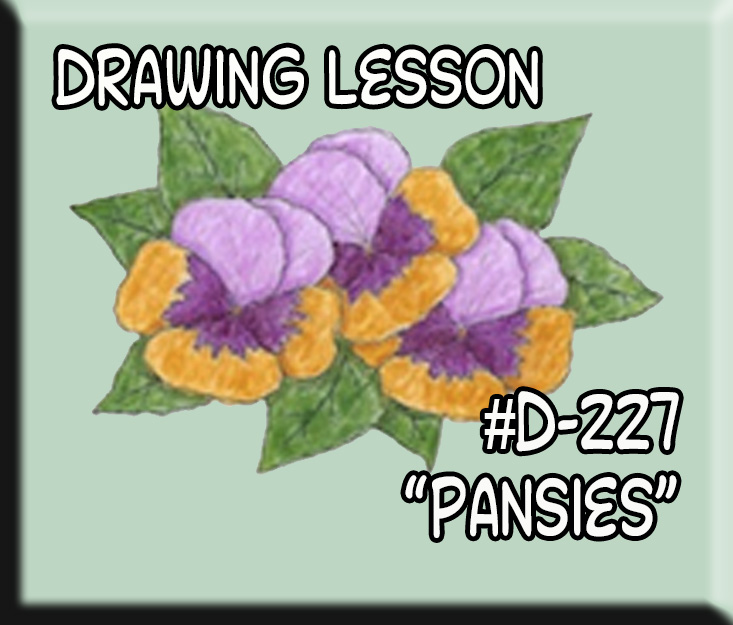 Drawing Lesson #D-227 “Pansy”