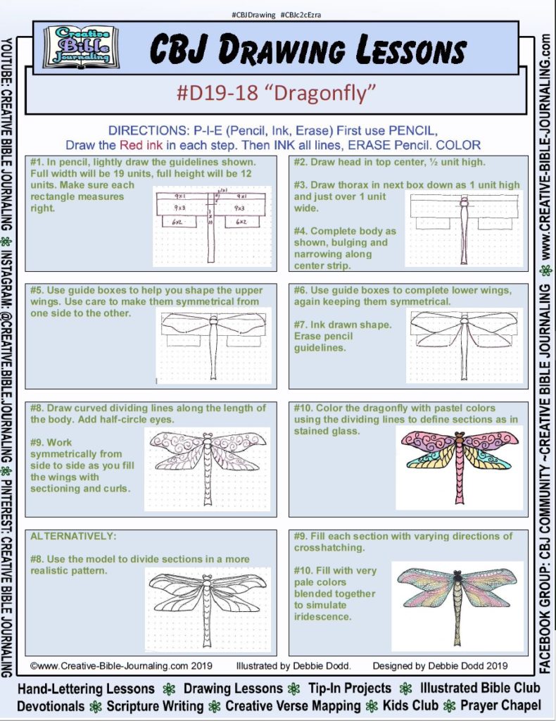 D19-18-Dragonfly-PageView