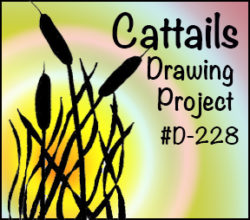 Drawing Cattails SQUARE