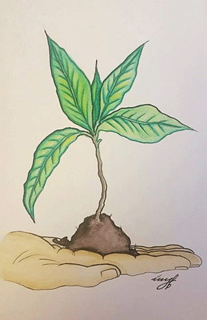 Growth-in-hand-colored-gif-