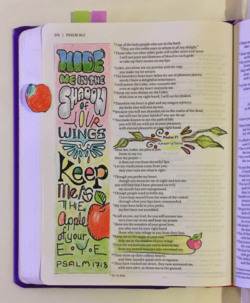 Psalms-17-8-Margin-art-Pink-Bible (1)