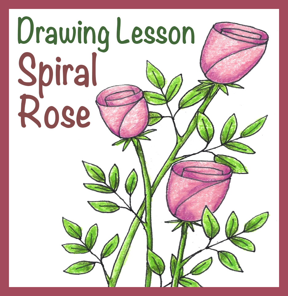 Drawing Room #dr216 “Spiral Rose”