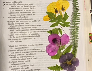 CBJ Project #3B, Pressed Flowers and Modge Podge in My Bible?